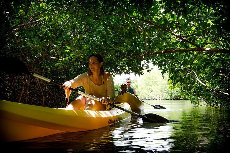 The Mangrove Info Center is the place for kayaking.