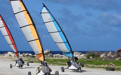 Eight Fun Activities to Experience on Bonaire