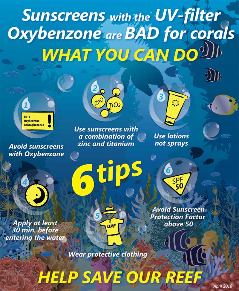 Be sure to choose the right sunscreen and help Bonaire's reefs!
