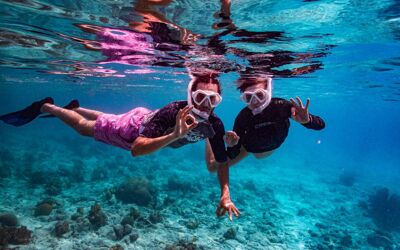 Snorkel with Private Guided Tours Bonaire