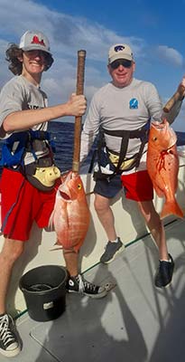 Snapper