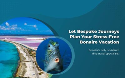 Let Bespoke Journeys Plan Your Stress-Free Bonaire Vacation
